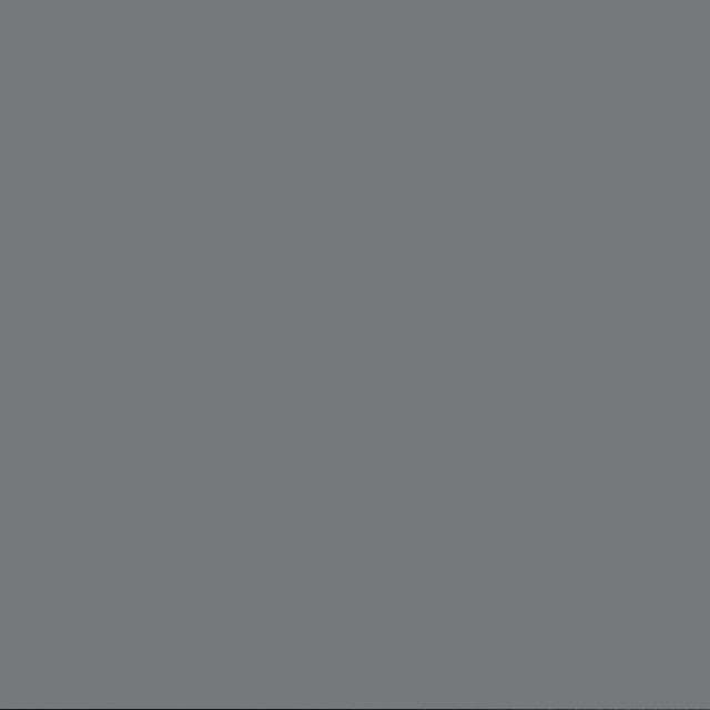 Confident Gray sample