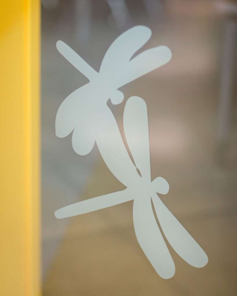 Custom Laminated Glass by Dreamwalls at Port Neches Primary School-TX-pic4-dragonflies